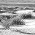 2Mesquite Flat Sand Dunes - ID: 15712750 © Fran  Bastress