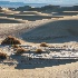 2Mesquite Flat Sand Dunes - ID: 15712752 © Fran  Bastress