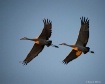 Precision Flight