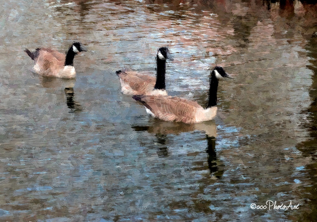 Spring Swim