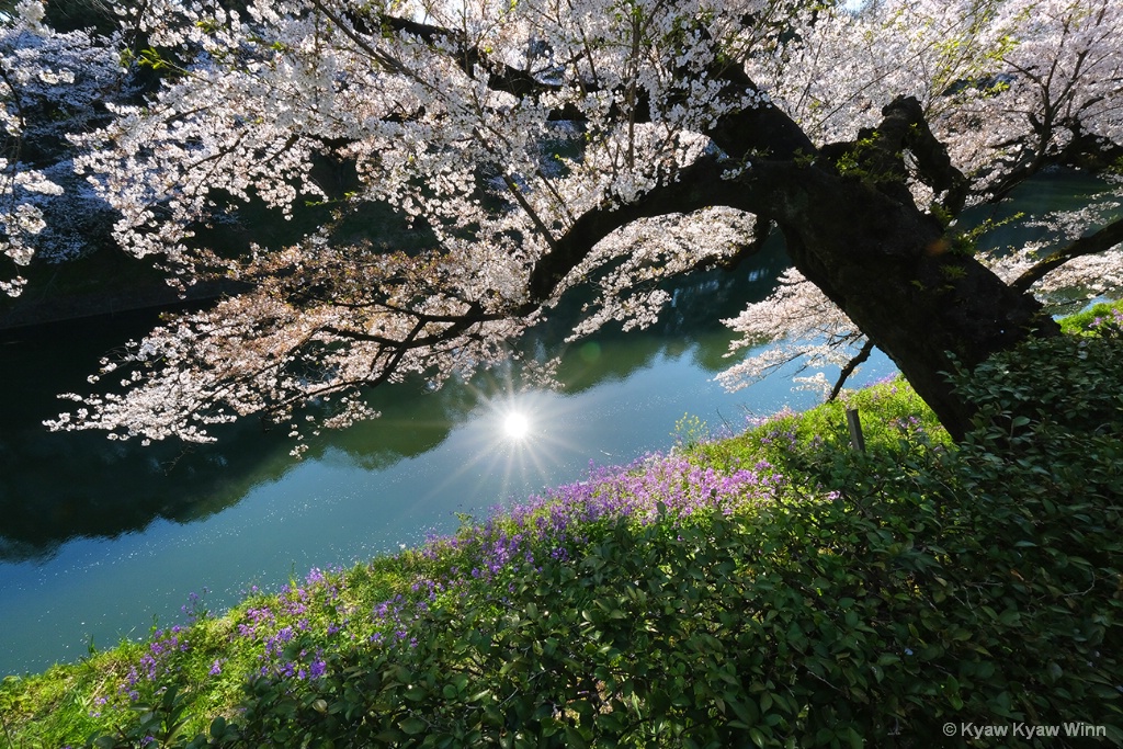 Reflection of the Sun - ID: 15713638 © Kyaw Kyaw Winn