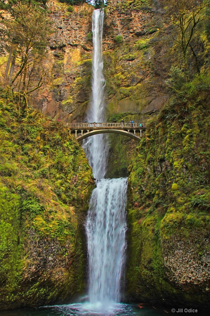 Multnomah Falls