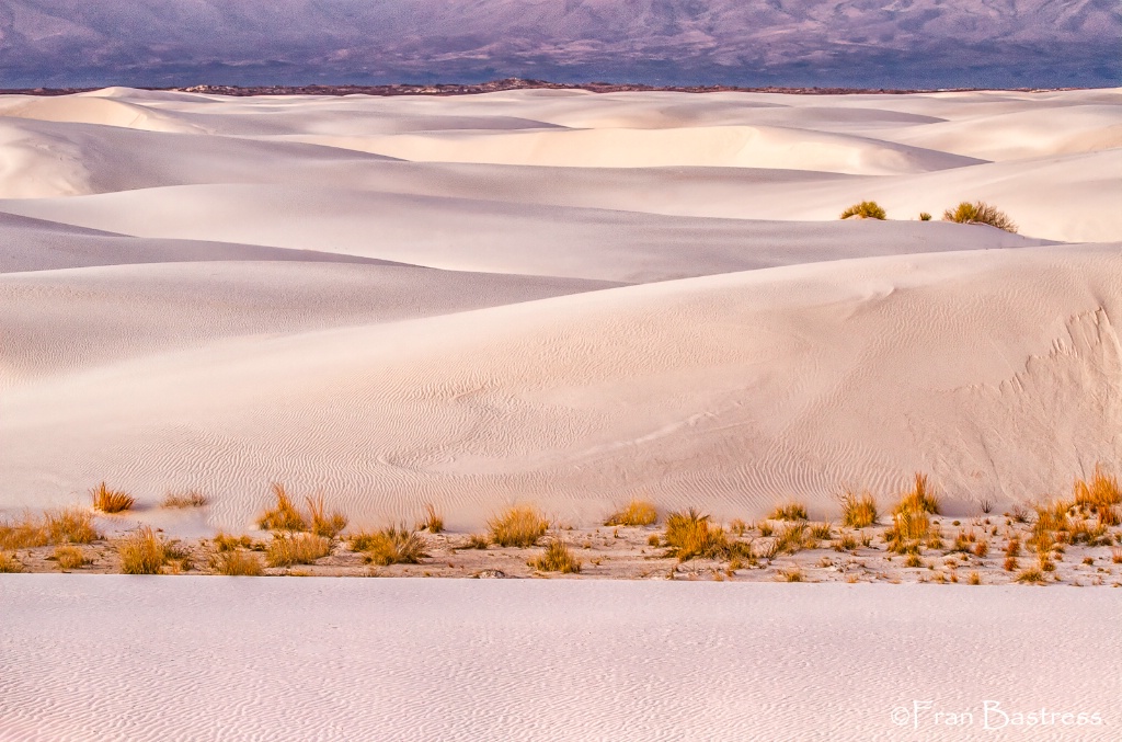 White Sands National Monument, NM - ID: 15713736 © Fran  Bastress
