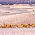 2White Sands National Monument, NM - ID: 15713736 © Fran  Bastress
