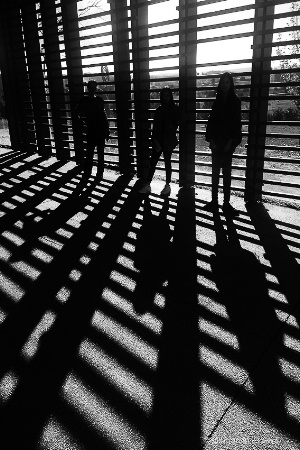 Shadow Women