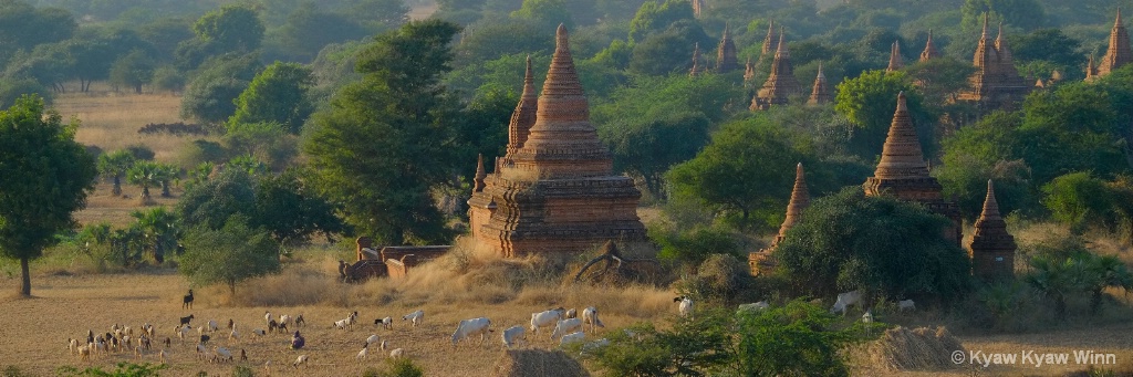 View of Bagan