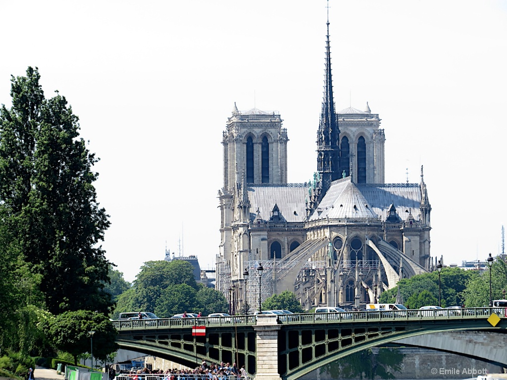 In Memory of Notre Dame, Paris