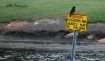 Hiller Park Bilox...