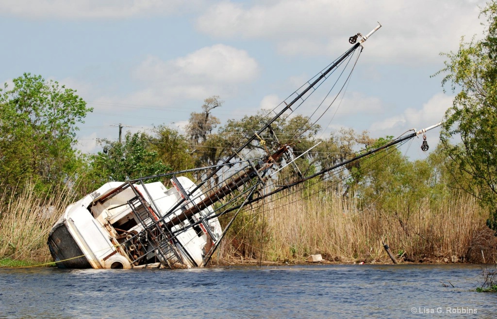 LA Swamp Tour 3