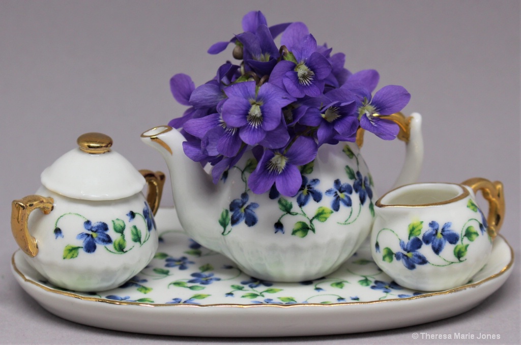 Violets with Sugar and Cream - ID: 15714488 © Theresa Marie Jones