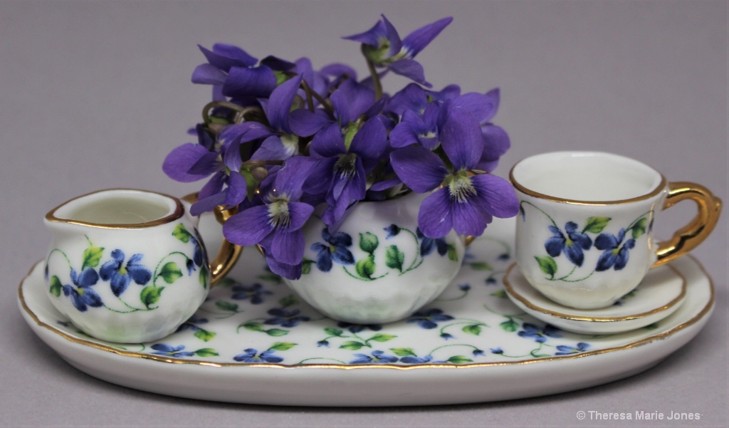 Violets in Mini Vase - ID: 15714489 © Theresa Marie Jones