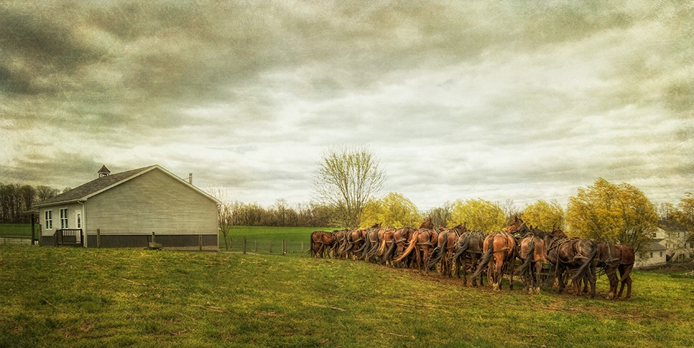 Horses and Schoolhouse