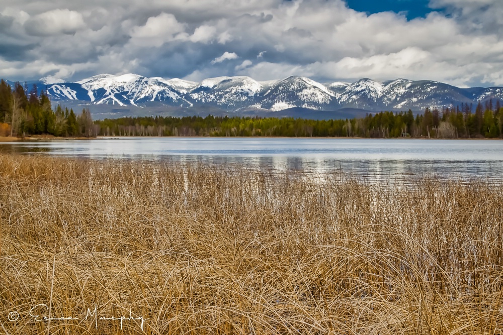Changing Seasons  - ID: 15714668 © Erica Murphy