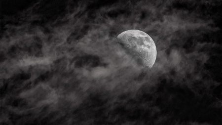 Moon Dance (BW)