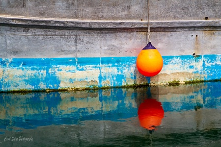 Buoy