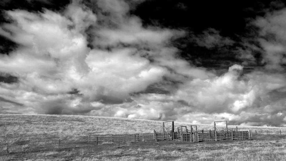 Corral in Big Sky Country 