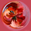 Colors of Autumn