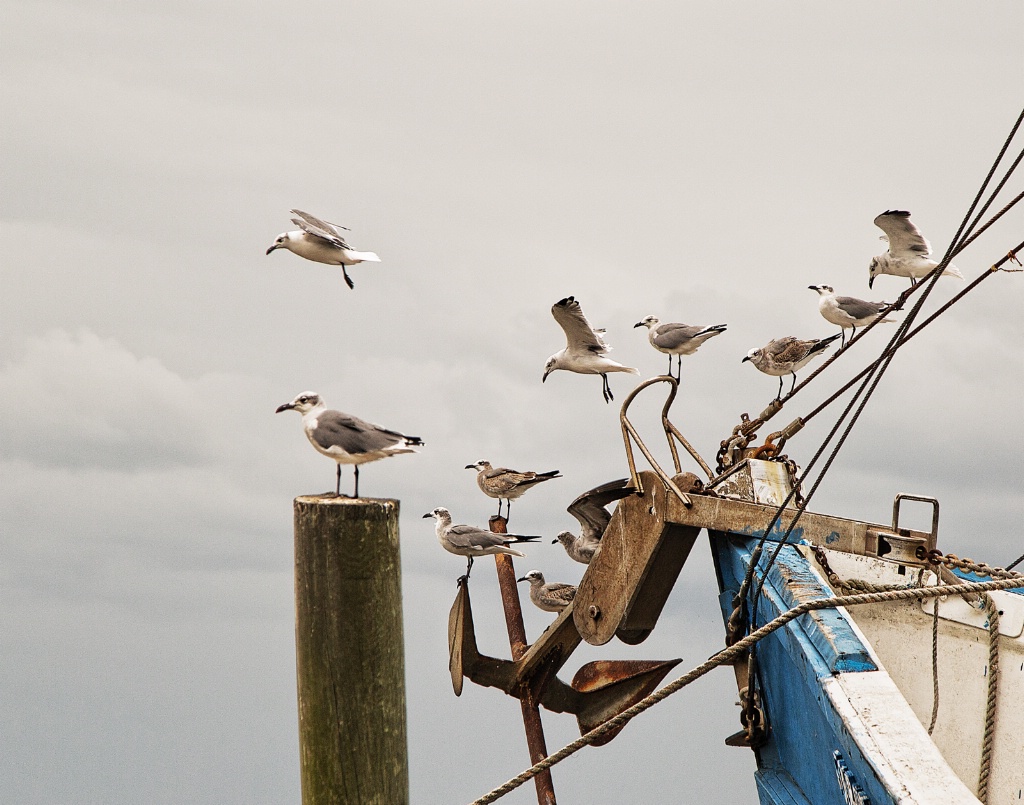 Establishing the pecking order