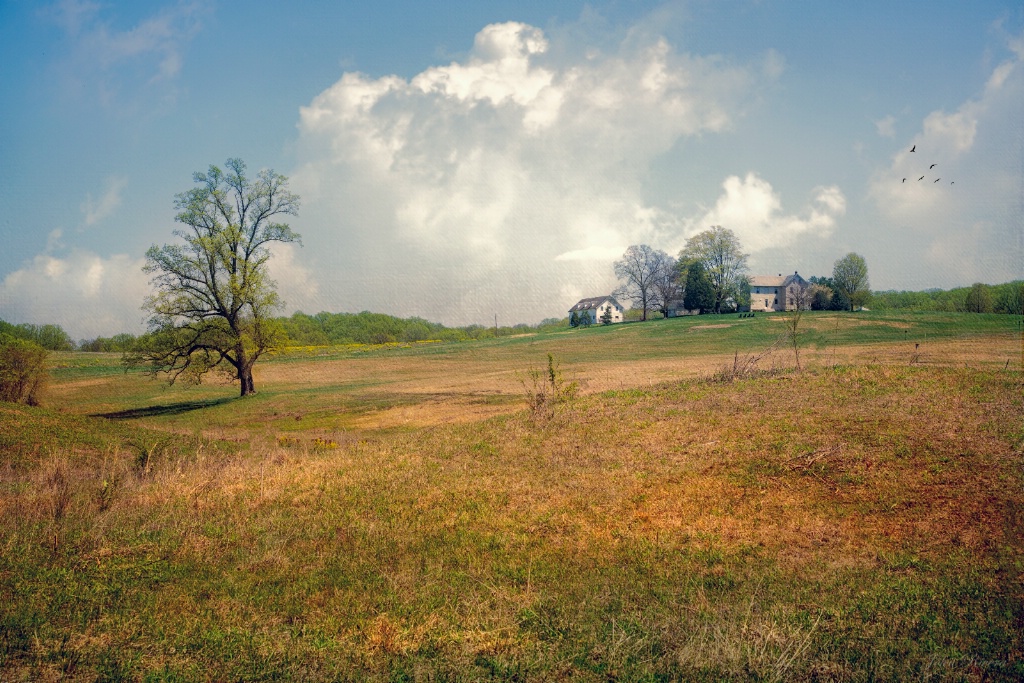 Beautiful Spring Day