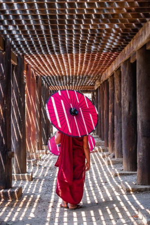 A Novice Monk