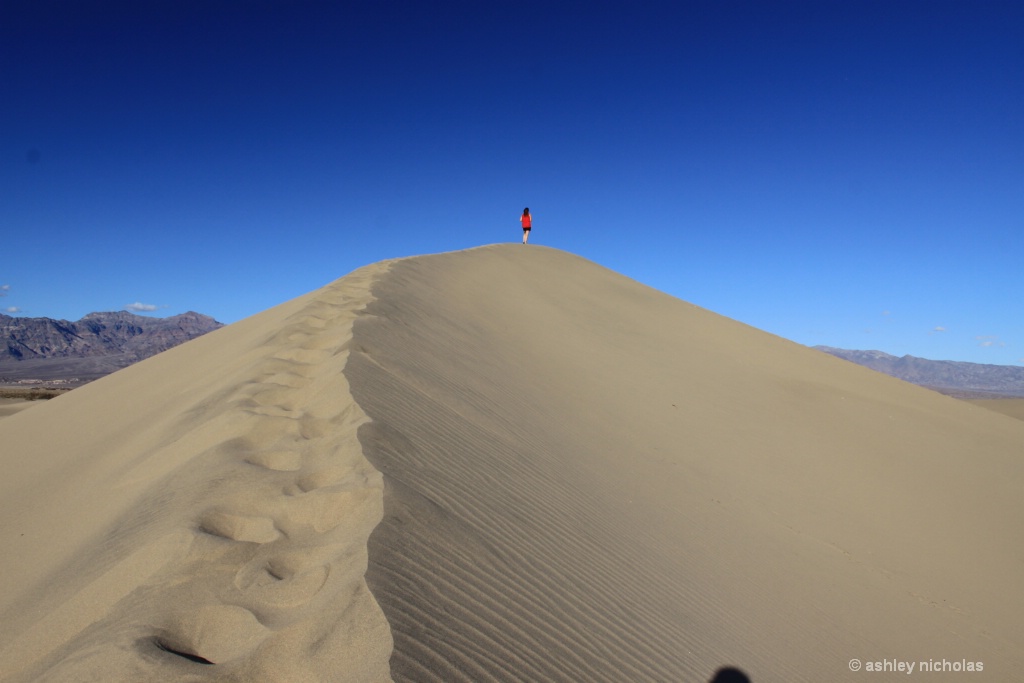 Walking in the sand - ID: 15716045 © ashley nicholas