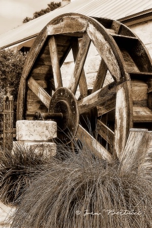 Water Wheel