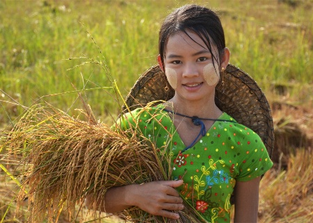 Myanmar Girl