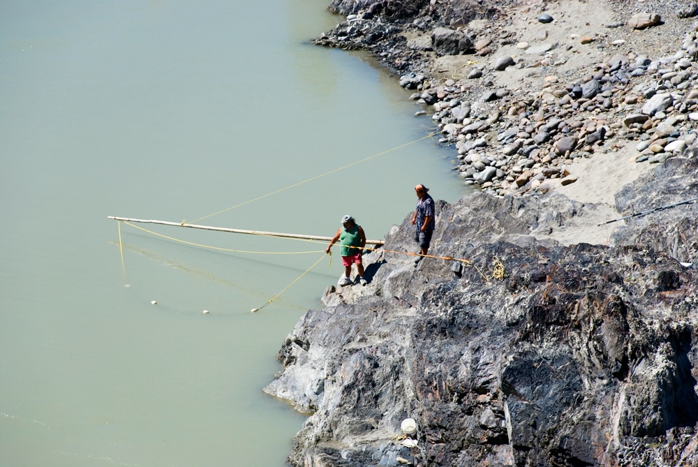 Gill Netting Salmon on the Fraser River 