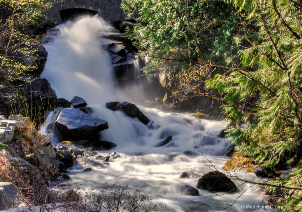 Cottonwood falls 