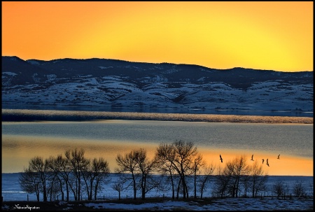 ~ Lakeside Sunset ~