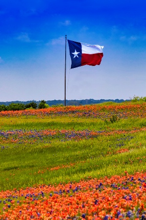 Lone Star Spring