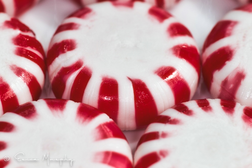 Red and White - ID: 15717302 © Erica Murphy