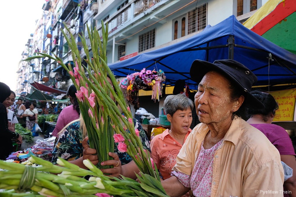 The flowers selling old woman 
