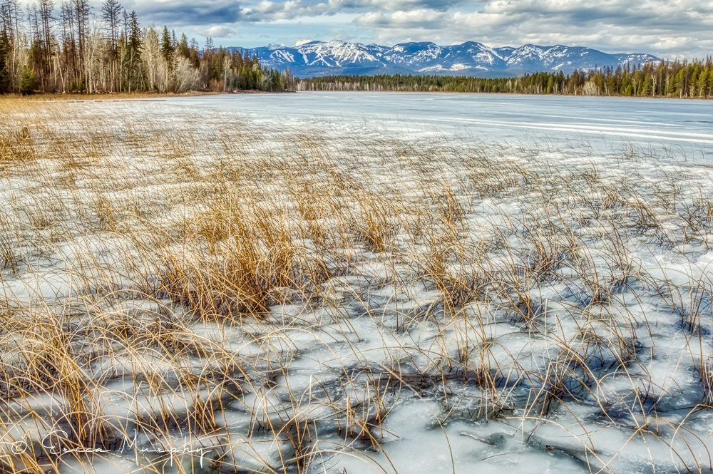 The Ice Slowly Lets Go - ID: 15717774 © Erica Murphy