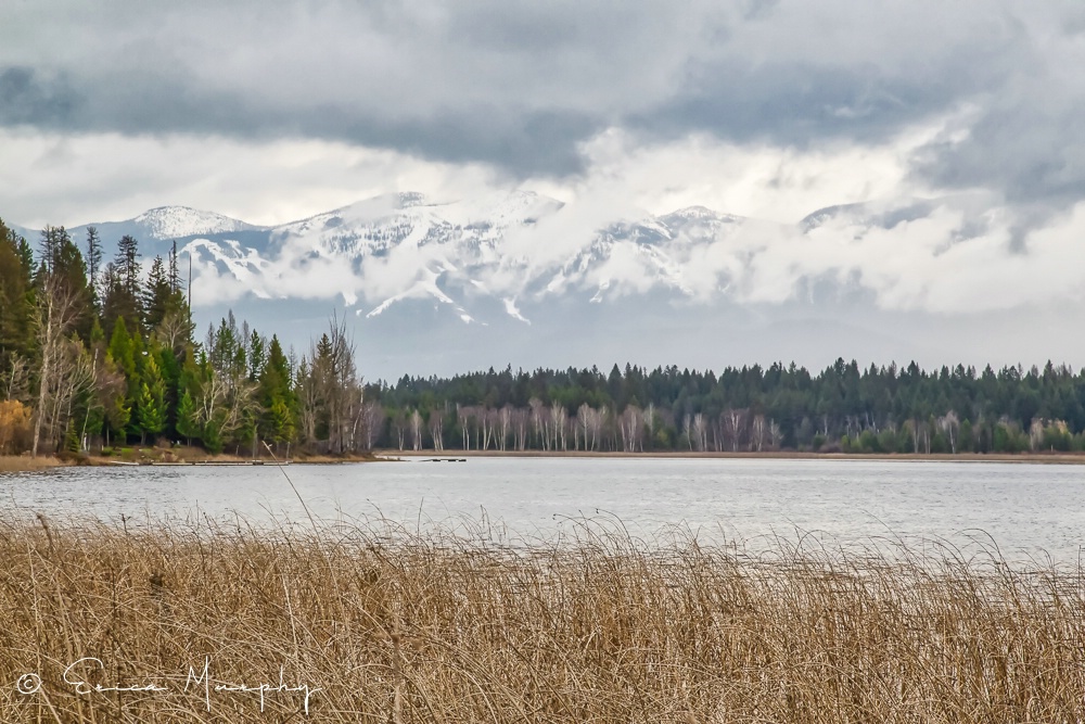 Spring in Montana