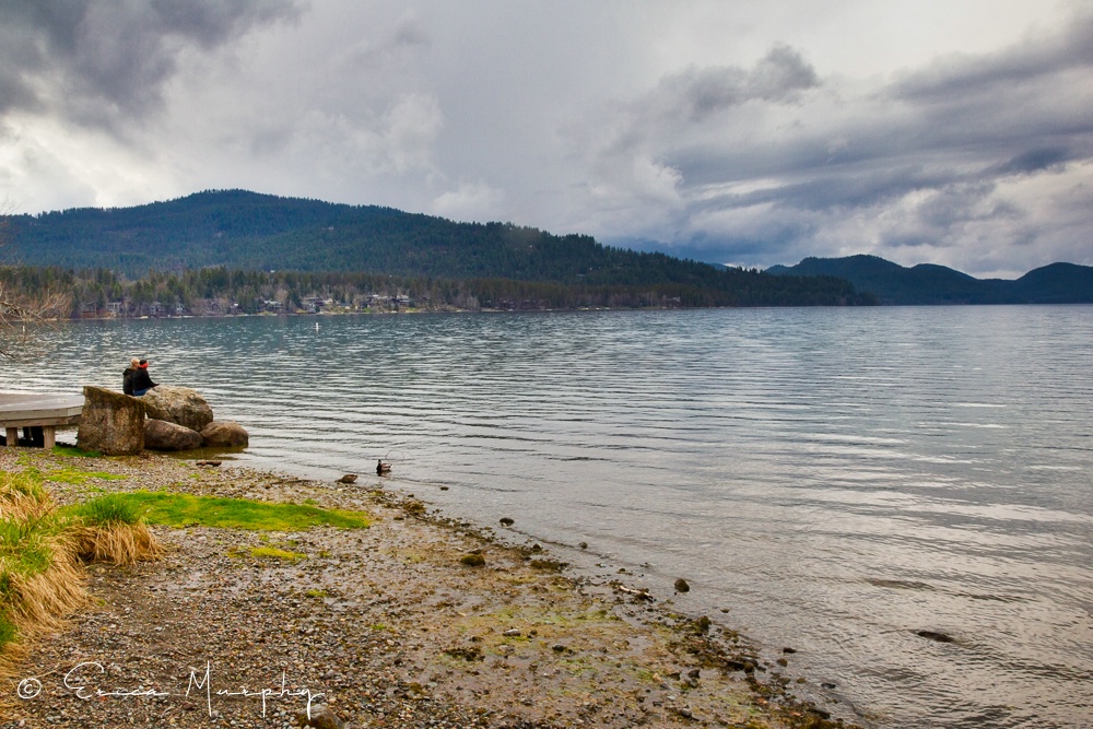 A Quiet Moment - ID: 15717778 © Erica Murphy
