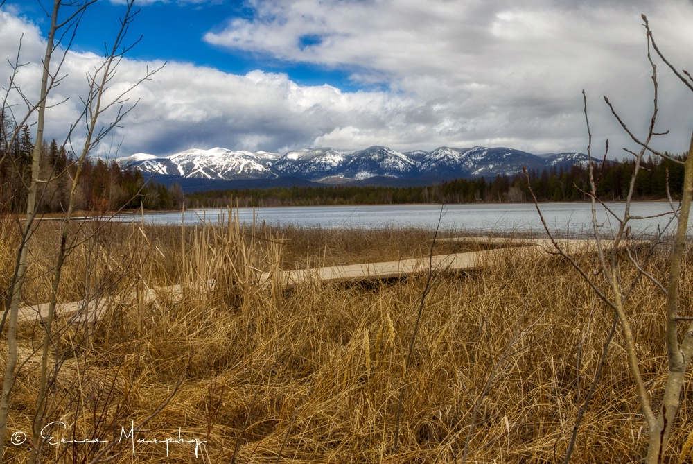 Spring Thaw - ID: 15717780 © Erica Murphy