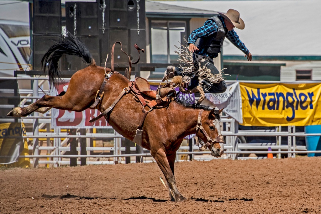 Airborne Dismount