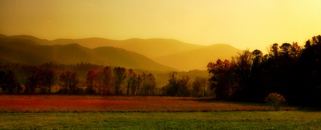 Evening at Cades Cove 