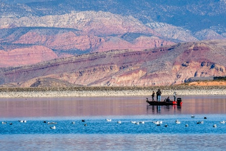 out for the morning catch