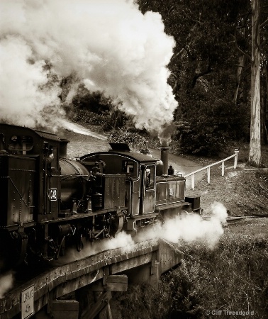 Technique  Puffing Billy