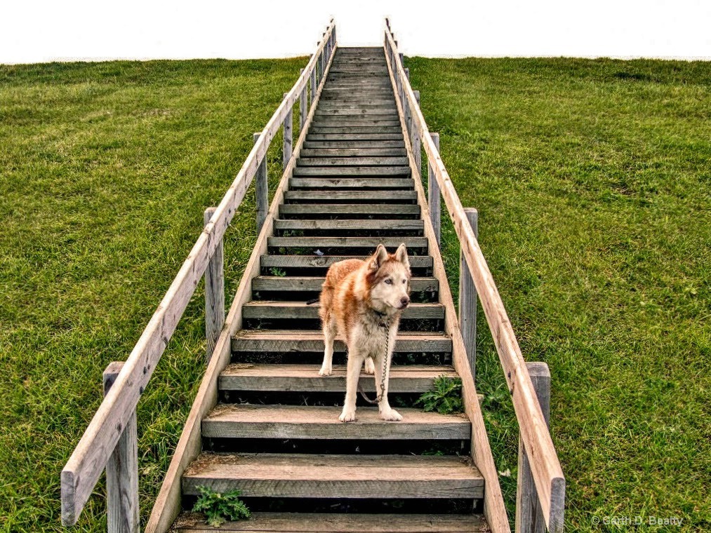 Reservoir Steps  near Findlay, Ohio