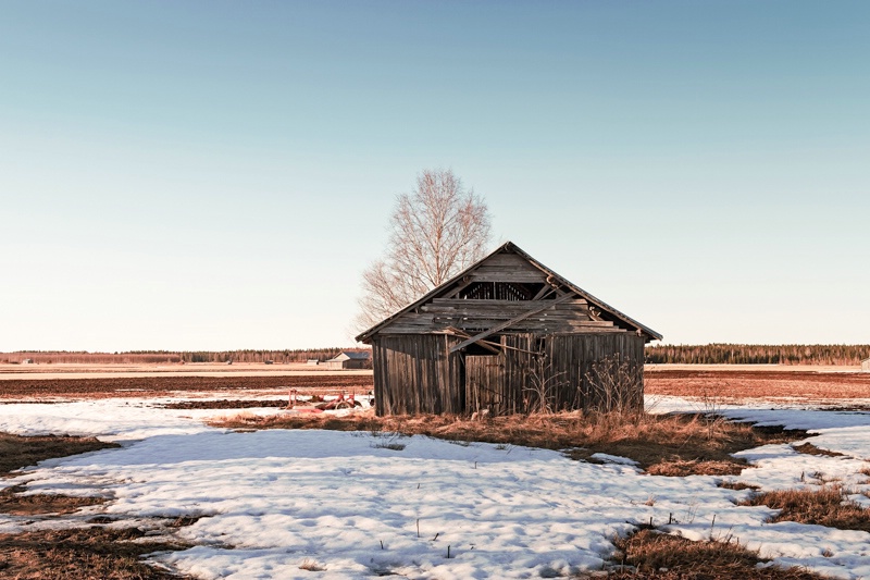 Barn House In The Springtime Sun