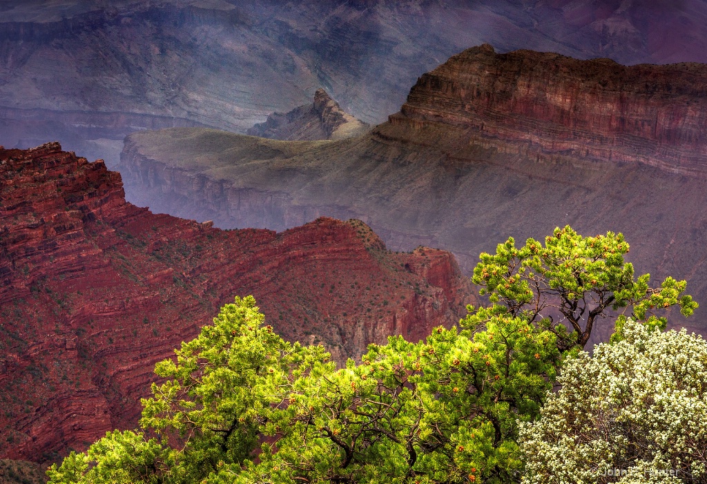 Canyon View South Rim 2