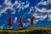 Novices