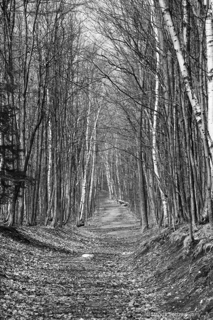 Mono Cliffs Provincial Park