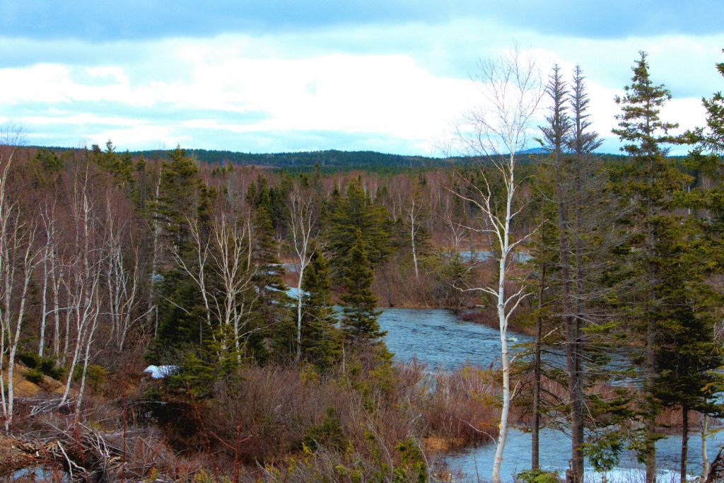 Burnt Berry RV Park, NL.