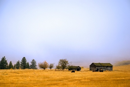 The Lonely Field