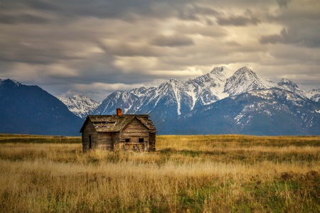 Mission Valley Homestead