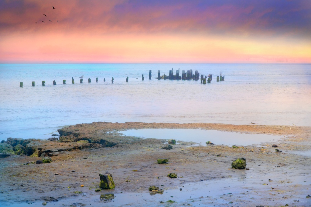 Forgotten Pier